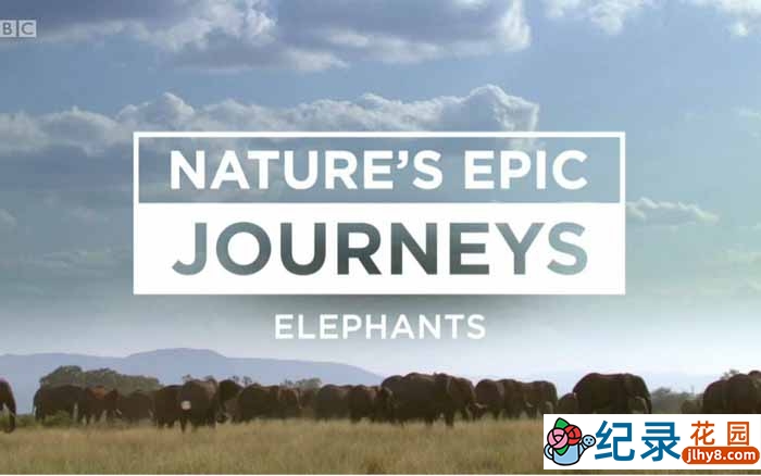 BBC自然生态纪录片《自然史诗之旅 Nature’s Epic Journeys》全3集 720P/1080i高清纪录片百度云下载插图 BBC自然生态纪录片《自然史诗之旅 Nature’s Epic Journeys》全3集 720P/1080i高清纪录片百度云下载