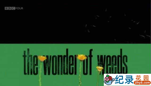 BBC自然生态纪录片《奇妙的杂草/野草奇妙物语 The Wonder of Weeds》全1集 标清纪录片百度云下载插图 BBC自然生态纪录片《奇妙的杂草/野草奇妙物语 The Wonder of Weeds》全1集 标清纪录片百度云下载