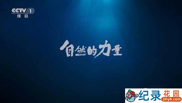 CCTV央视自然生态纪录片《自然的力量 The Charm of Nature》全6集 720P/1080i高清纪录片百度云下载插图 CCTV央视自然生态纪录片《自然的力量 The Charm of Nature》全6集 720P/1080i高清纪录片百度云下载