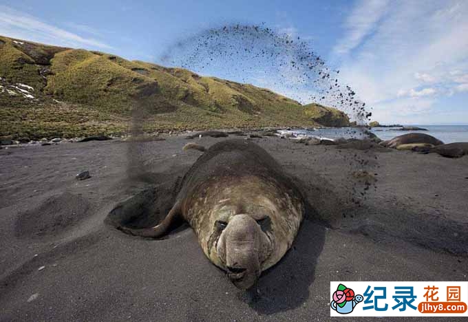 BBC自然生态纪录片《野性巴塔哥尼亚 Wild Patagonia》全1集 720P/1080i高清纪录片百度云下载插图 BBC自然生态纪录片《野性巴塔哥尼亚 Wild Patagonia》全1集 720P/1080i高清纪录片百度云下载