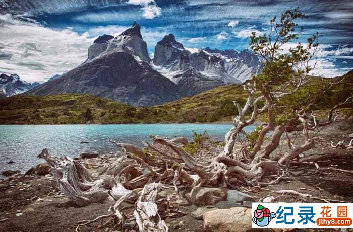 BBC自然生态纪录片《野性巴塔哥尼亚 Wild Patagonia》全1集 720P/1080i高清纪录片百度云下载插图1 BBC自然生态纪录片《野性巴塔哥尼亚 Wild Patagonia》全1集 720P/1080i高清纪录片百度云下载