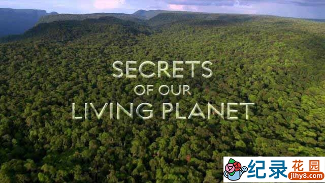 BBC自然生态纪录片《地球探秘 Secrets of Our Living Planet》全4集 720P/1080i高清纪录片百度云下载插图 BBC自然生态纪录片《地球探秘 Secrets of Our Living Planet》全4集 720P/1080i高清纪录片百度云下载