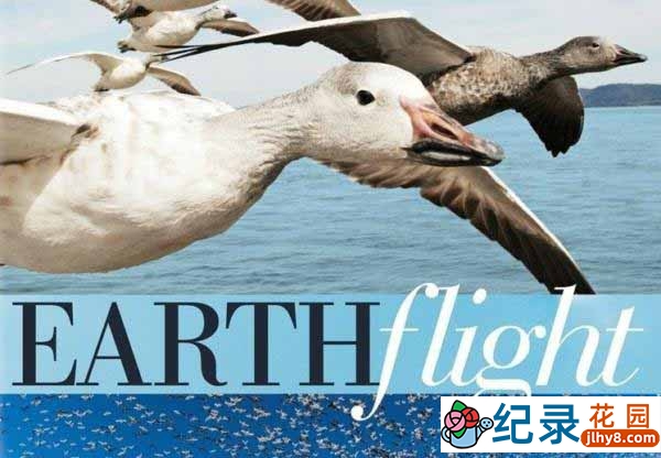 BBC自然生态纪录片《鸟瞰地球 Earthflight》全6集 720P/1080i高清纪录片资源百度云盘下载插图 BBC自然生态纪录片《鸟瞰地球 Earthflight》全6集 720P/1080i高清纪录片资源百度云盘下载