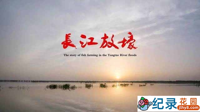 央视自然生态纪录片《长江放壕》全1集 纪录片资源百度云盘下载 1080/TS/1.52G插图 央视自然生态纪录片《长江放壕》全1集 纪录片资源百度云盘下载 1080/TS/1.52G