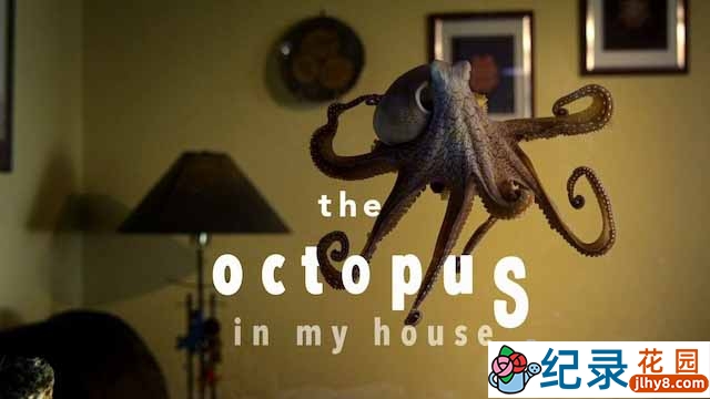 BBC自然生物纪录片《我的宠物章鱼 The Octopus in My House》全1集中字 TS/蓝光高清纪录片资源百度云盘下载插图 BBC自然生物纪录片《我的宠物章鱼 The Octopus in My House》全1集中字 TS/蓝光高清纪录片资源百度云盘下载