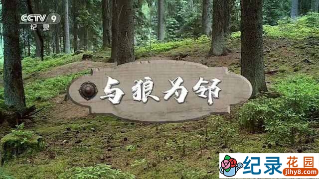 德国自然生态纪录片《与狼为邻》全1集中字 TS/蓝光高清纪录片资源百度云盘下载插图 德国自然生态纪录片《与狼为邻》全1集中字 TS/蓝光高清纪录片资源百度云盘下载