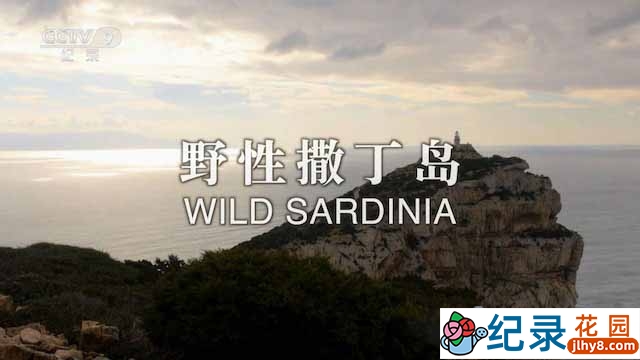 意大利自然生态纪录片《野性撒丁岛 Wild Sardinia》全1集中字 TS/蓝光高清纪录片资源百度云盘下载插图 意大利自然生态纪录片《野性撒丁岛 Wild Sardinia》全1集中字 TS/蓝光高清纪录片资源百度云盘下载