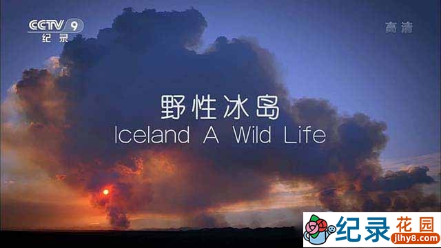 BBC自然生态纪录片《野性冰岛 Iceland A Wild Life》全3集中字 TS/蓝光高清纪录片资源百度云盘下载插图 BBC自然生态纪录片《野性冰岛 Iceland A Wild Life》全3集中字 TS/蓝光高清纪录片资源百度云盘下载