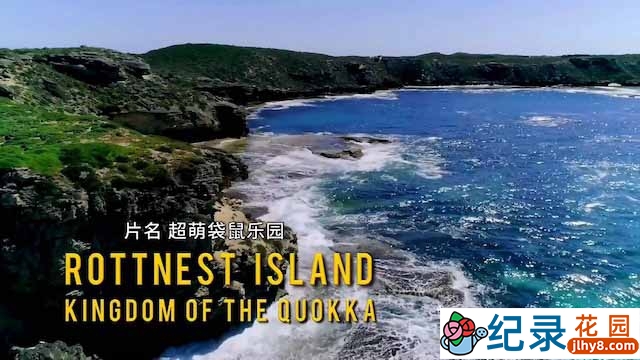 国家地理自然生态纪录片《洛特尼斯岛:短尾矮袋鼠的王国 Rottnest Island:Kingdom Of The Quokka》全2集中字 TS/蓝光高清纪录片资源百度云盘下载插图 国家地理自然生态纪录片《洛特尼斯岛:短尾矮袋鼠的王国 Rottnest Island:Kingdom Of The Quokka》全2集中字 TS/蓝光高清纪录片资源百度云盘下载