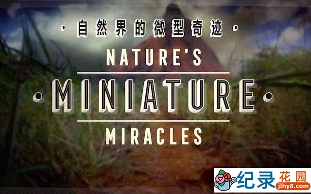 央视自然生态纪录片《大自然的微型奇迹 Nature’s Miniature miracles》全1集中字 TS/蓝光高清纪录片资源百度云盘下载插图 央视自然生态纪录片《大自然的微型奇迹 Nature’s Miniature miracles》全1集中字 TS/蓝光高清纪录片资源百度云盘下载