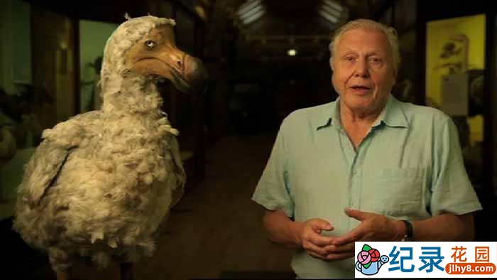 自然生态保护纪录片《大卫·爱登堡的方舟》全1集中字 1080高清纪录片资源百度云盘下载插图 自然生态保护纪录片《大卫·爱登堡的方舟》全1集中字 1080高清纪录片资源百度云盘下载