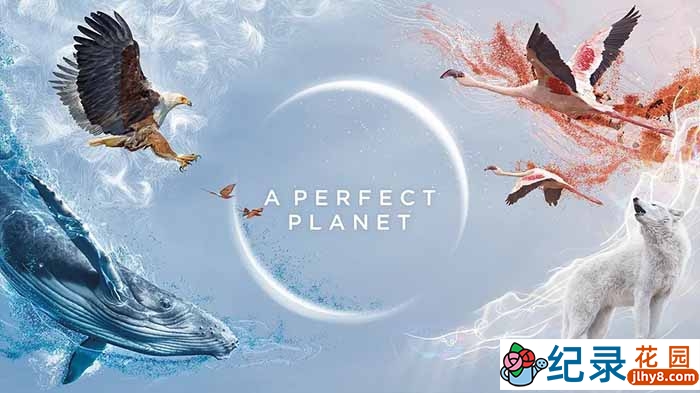 BBC自然科学纪录片《完美星球 A Perfect Planet》全5集 1080P/2K高清纪录片资源百度云盘下载插图 BBC自然科学纪录片《完美星球 A Perfect Planet》全5集 1080P/2K高清纪录片资源百度云盘下载