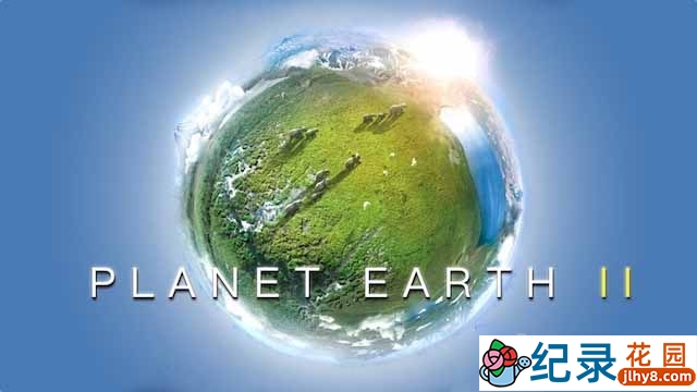 BBC自然生态纪录片《行星地球 Planet Earth》第2季中字 1080P高清纪录片资源百度云盘下载插图 BBC自然生态纪录片《行星地球 Planet Earth》第2季中字 1080P高清纪录片资源百度云盘下载