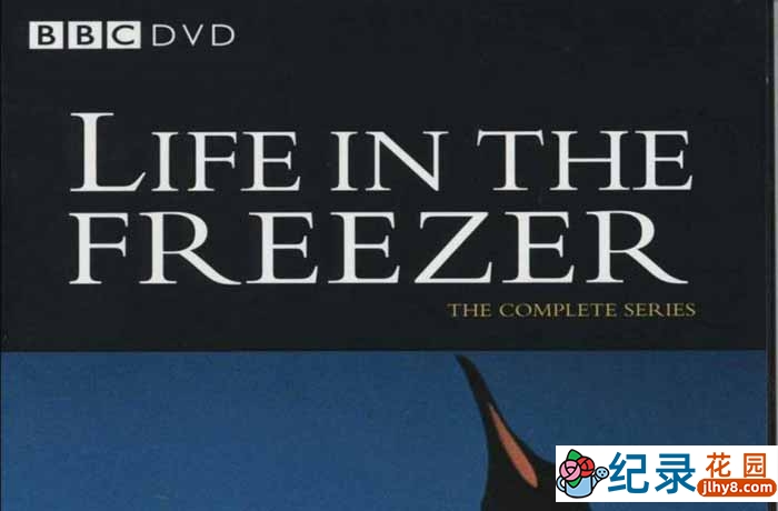 BBC南极自然生态纪录片《冰雪的童话 Life In the Freezer》全6集 标清纪录片资源百度云盘下载插图 BBC南极自然生态纪录片《冰雪的童话 Life In the Freezer》全6集 标清纪录片资源百度云盘下载