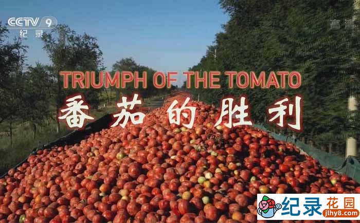 CCTV央视生活美食纪录片《番茄的胜利 Triumph of the Tomato》全1集 720P/1080i高清纪录片资源百度云盘下载插图 CCTV央视生活美食纪录片《番茄的胜利 Triumph of the Tomato》全1集 720P/1080i高清纪录片资源百度云盘下载