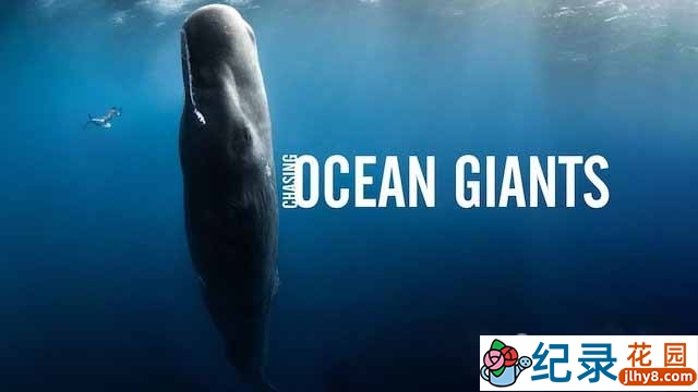 探索频道海洋生物纪录片《追踪海洋巨兽 Chasing Ocean Giants》全8集中字 1080P高清纪录片资源百度云盘下载插图 探索频道海洋生物纪录片《追踪海洋巨兽 Chasing Ocean Giants》全8集中字 1080P高清纪录片资源百度云盘下载