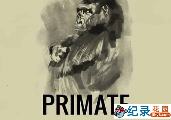 生物研究纪录片《灵长类 Primate》全1集中字 标清纪录片资源百度云盘下载插图 生物研究纪录片《灵长类 Primate》全1集中字 标清纪录片资源百度云盘下载