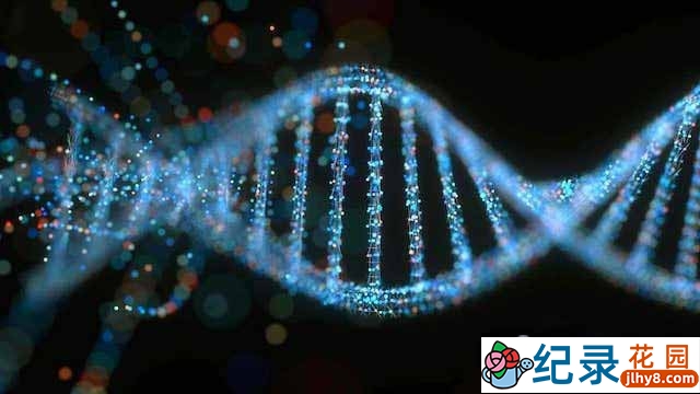 NHK基因研究纪录片《人体DNA时代 Human Body III DNA Age》全6集 标清纪录片资源百度云盘下载插图 NHK基因研究纪录片《人体DNA时代 Human Body III DNA Age》全6集 标清纪录片资源百度云盘下载