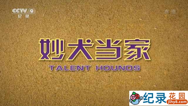 央视宠物纪录片《妙犬当家 Talent Hounds》全1集 720P/1080i高清纪录片资源百度云盘下载插图 央视宠物纪录片《妙犬当家 Talent Hounds》全1集 720P/1080i高清纪录片资源百度云盘下载