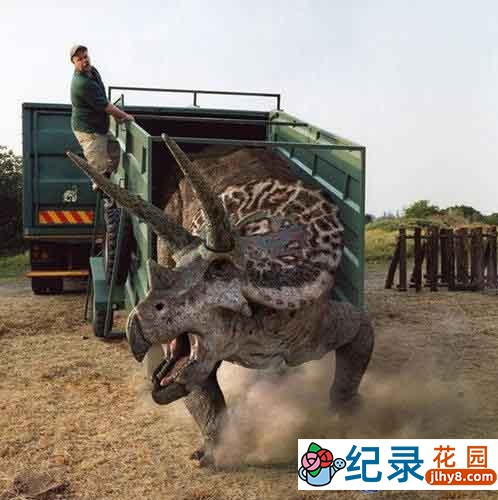 BBC史前生物纪录片《史前公园 Prehistoric Park》全7集含花絮 标清纪录片资源百度云盘下载插图2 BBC史前生物纪录片《史前公园 Prehistoric Park》全7集含花絮 标清纪录片资源百度云盘下载