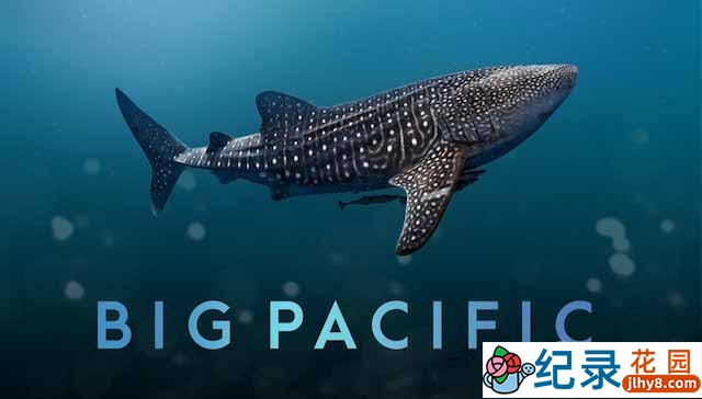 海洋生态类纪录片《大太平洋 Big Pacific》全5集 720P/1080i高清纪录片百度云下载插图 海洋生态类纪录片《大太平洋 Big Pacific》全5集 720P/1080i高清纪录片百度云下载