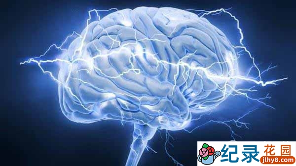 BBC人体探索纪录片《人脑漫游 Brain Story》全6集 720P/1080i高清纪录片百度云下载插图 BBC人体探索纪录片《人脑漫游 Brain Story》全6集 720P/1080i高清纪录片百度云下载