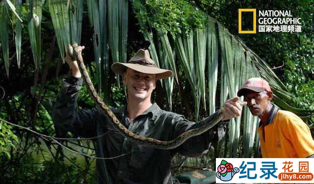 国家地理生命探索纪录片《亚洲毒蛇之最亚洲致命毒蛇 Asia’s Deadliest Snakes》全1集 720P/1080i高清纪录片百度云下载插图 国家地理生命探索纪录片《亚洲毒蛇之最亚洲致命毒蛇 Asia’s Deadliest Snakes》全1集 720P/1080i高清纪录片百度云下载