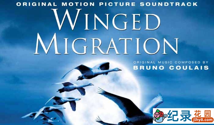 生命探索纪录片《天地人三部曲:迁徙的鸟 Winged Migration》全1集 720P/1080i高清纪录片百度云下载插图 生命探索纪录片《天地人三部曲:迁徙的鸟 Winged Migration》全1集 720P/1080i高清纪录片百度云下载