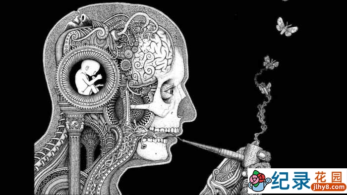 BBC生命探索纪录片《人类本能 Human Instinct》全4集 标清纪录片百度云下载插图 BBC生命探索纪录片《人类本能 Human Instinct》全4集 标清纪录片百度云下载