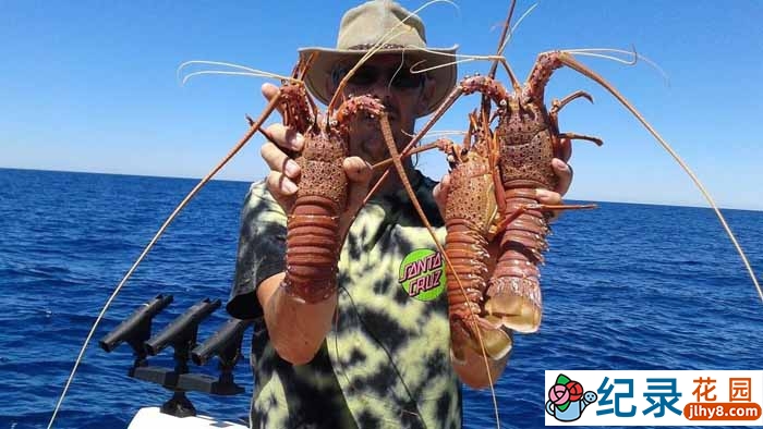 探索频道捕捞纪录片《恶海捕龙虾 Lobstermen》全5集 标清纪录片资源百度云盘下载插图 探索频道捕捞纪录片《恶海捕龙虾 Lobstermen》全5集 标清纪录片资源百度云盘下载