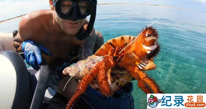 赶海捕捞纪录片《深海盛宴》第5季57集中字 1080高清纪录片解说素材百度云盘下载插图 赶海捕捞纪录片《深海盛宴》第5季57集中字 1080高清纪录片解说素材百度云盘下载