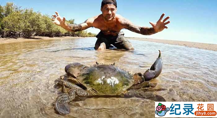 赶海捕捞纪录片《深海盛宴》第1季55集中字 720P/1080i高清纪录片资源百度云盘下载插图 赶海捕捞纪录片《深海盛宴》第1季55集中字 720P/1080i高清纪录片资源百度云盘下载