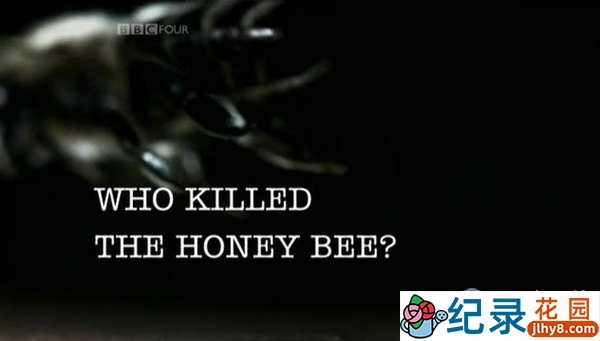 BBC自然生态纪录片《谁杀死了蜜蜂 Who Killed The Honey Bee》全1集 标清纪录片资源百度云盘下载插图 BBC自然生态纪录片《谁杀死了蜜蜂 Who Killed The Honey Bee》全1集 标清纪录片资源百度云盘下载