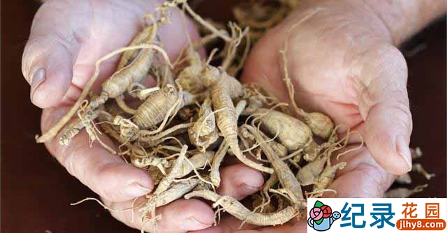 国家地理自然人文纪录片《不可思议赚钱术 Filthy Riches》全13集 标清纪录片百度云插图2 国家地理自然人文纪录片《不可思议赚钱术 Filthy Riches》全13集 标清纪录片百度云