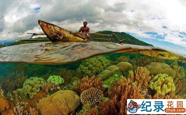 BBC生物入侵纪录片《超级生物群:大自然不可思议的入侵 Super Swarms》全2集 720P/1080i高清纪录片百度云盘下载插图2 BBC生物入侵纪录片《超级生物群:大自然不可思议的入侵 Super Swarms》全2集 720P/1080i高清纪录片百度云盘下载