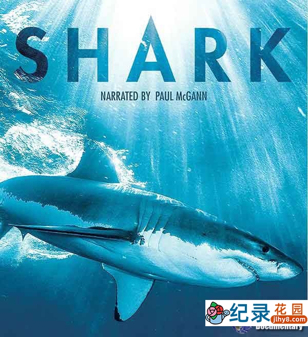 BBC自然生物纪录片《碧海狂鲨 SHARK》全3集 720P/1080i高清纪录片百度云插图 BBC自然生物纪录片《碧海狂鲨 SHARK》全3集 720P/1080i高清纪录片百度云
