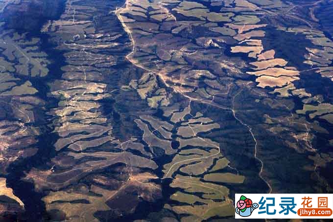 国家地理自然生态纪录片《河流与生命系列:亚马逊河 Rivers And Life Amazon》全1集 720P/1080i高清纪录片百度云插图 国家地理自然生态纪录片《河流与生命系列:亚马逊河 Rivers And Life Amazon》全1集 720P/1080i高清纪录片百度云