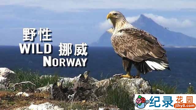 央视自然生态纪录片《野性挪威 Wild Norway》全1集 TS/蓝光高清纪录片资源百度云盘下载插图 央视自然生态纪录片《野性挪威 Wild Norway》全1集 TS/蓝光高清纪录片资源百度云盘下载