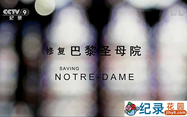 央视建筑工程纪录片《修复巴黎圣母院 Saving Notre Dame》全1集 720P/1080i高清纪录片资源百度云盘下载插图 央视建筑工程纪录片《修复巴黎圣母院 Saving Notre Dame》全1集 720P/1080i高清纪录片资源百度云盘下载