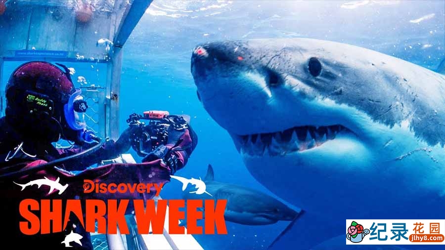 探索频道鲨鱼研究纪录片《鲨鱼周 2016 Shark Week》全17集中字 纪录片解说素材百度云盘下载 1080/MP4/40.7G插图 探索频道鲨鱼研究纪录片《鲨鱼周 2016 Shark Week》全17集中字 纪录片解说素材百度云盘下载 1080/MP4/40.7G