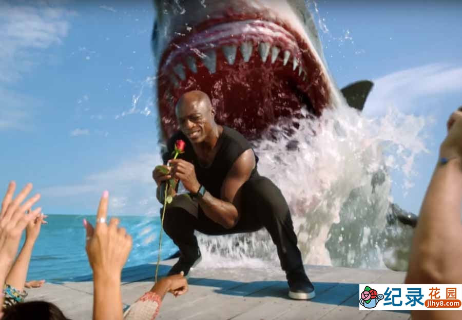 探索频道鲨鱼研究纪录片《鲨鱼周 2017 Shark Week》全20集中字 纪录片解说素材百度云盘下载 1080/MP4/47.2G插图 探索频道鲨鱼研究纪录片《鲨鱼周 2017 Shark Week》全20集中字 纪录片解说素材百度云盘下载 1080/MP4/47.2G