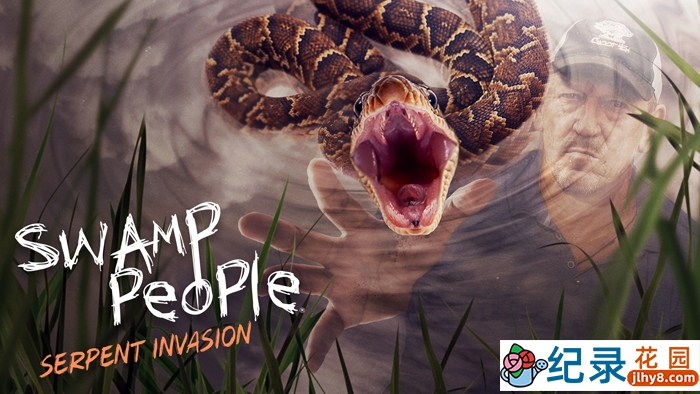 捕蛇纪录片《沼泽猎手:狂蟒入侵》第2季中字 纪录片解说素材百度云盘下载 1080/MKV/13.93G插图 捕蛇纪录片《沼泽猎手:狂蟒入侵》第2季中字 纪录片解说素材百度云盘下载 1080/MKV/13.93G