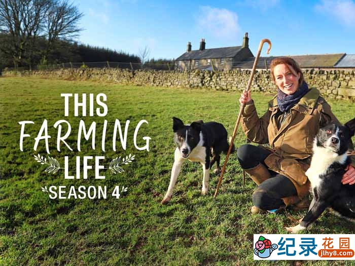 BBC传统农场经营纪录片《农耕生活 This Farming Life》第4季中字 自媒体解说素材百度云盘下载 1080/MKV/48.4G插图 BBC传统农场经营纪录片《农耕生活 This Farming Life》第4季中字 自媒体解说素材百度云盘下载 1080/MKV/48.4G