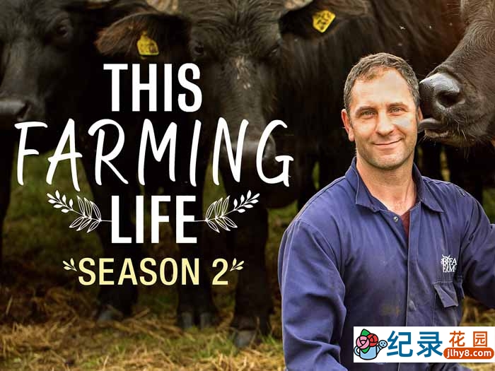 BBC传统农场经营纪录片《农耕生活 This Farming Life》第2季中字 自媒体解说素材百度云盘下载 720/MKV/13.0G插图 BBC传统农场经营纪录片《农耕生活 This Farming Life》第2季中字 自媒体解说素材百度云盘下载 720/MKV/13.0G