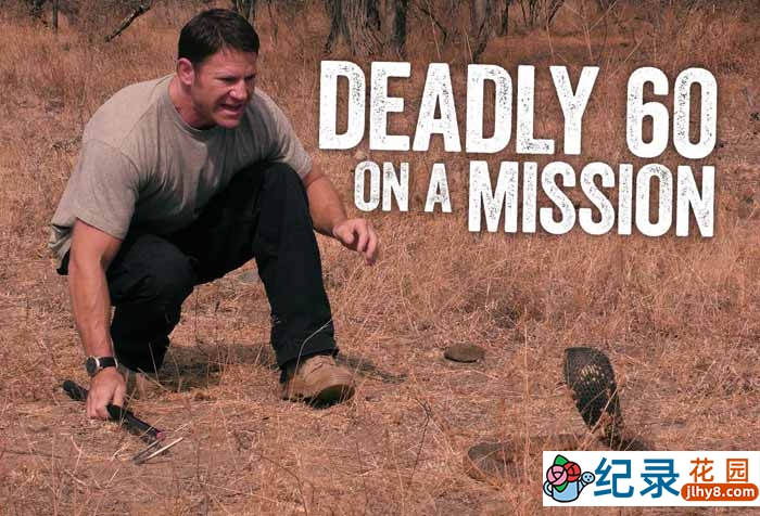 生物研究纪录片《任务:寻找致命的60种生物 Deadly 60 On A Mission》第1季中字 1080P高清自媒体解说素材百度云盘下载插图 生物研究纪录片《任务:寻找致命的60种生物 Deadly 60 On A Mission》第1季中字 1080P高清自媒体解说素材百度云盘下载