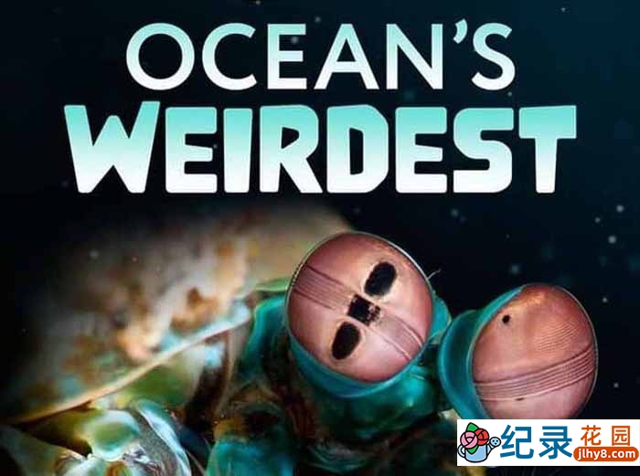 国家地理海中怪客纪录片《奇异的海洋 Oceans Weirdest》第1季中字 1080P纪录片资源百度云盘下载插图 国家地理海中怪客纪录片《奇异的海洋 Oceans Weirdest》第1季中字 1080P纪录片资源百度云盘下载