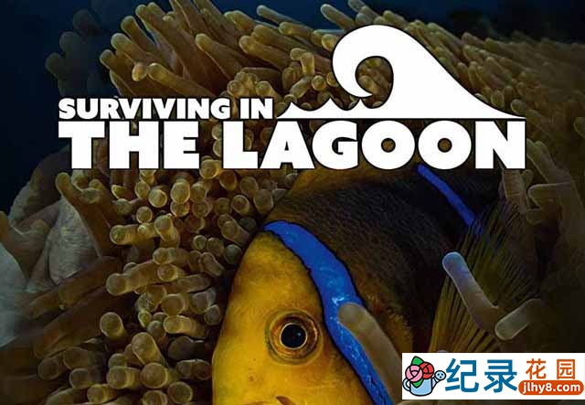 央视海洋生态纪录片《潟湖生命之旅 Surviving in the Lagoon》全1集 TS/蓝光高清纪录片资源百度云盘下载插图 央视海洋生态纪录片《潟湖生命之旅 Surviving in the Lagoon》全1集 TS/蓝光高清纪录片资源百度云盘下载