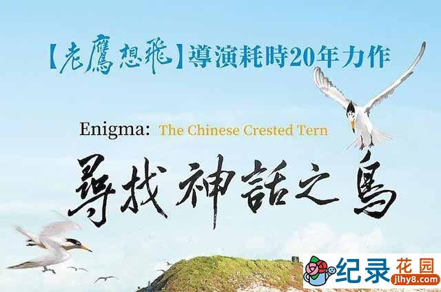 鸟类纪录片《寻找神话之鸟 Enigma: The Chinese Crested Tern》全1集中字 1080P纪录片资源百度云盘下载插图 鸟类纪录片《寻找神话之鸟 Enigma: The Chinese Crested Tern》全1集中字 1080P纪录片资源百度云盘下载