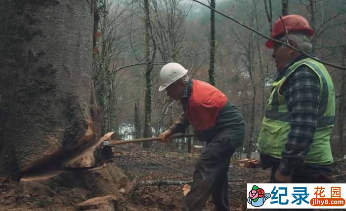 土耳其部落民俗纪录片《安纳托利亚的村落生活》全3集中字 1080P高清自媒体解说素材百度云盘下载插图 土耳其部落民俗纪录片《安纳托利亚的村落生活》全3集中字 1080P高清自媒体解说素材百度云盘下载