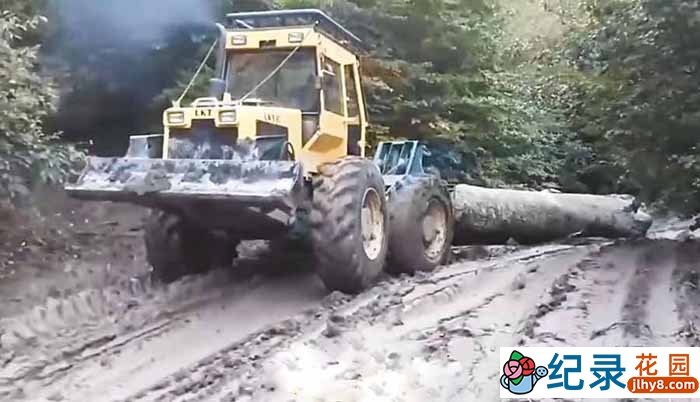 监控下的一幕纪录片《离奇交通事故》第2季原版无字 1080P高清自媒体解说素材百度云盘下载插图 监控下的一幕纪录片《离奇交通事故》第2季原版无字 1080P高清自媒体解说素材百度云盘下载